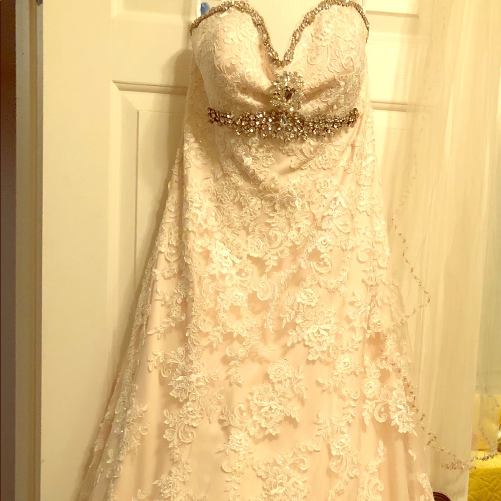 Casablanca wedding gown (comes with a veil)